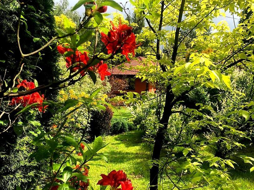 Secret Garden Residence Пашкувка Экстерьер фото