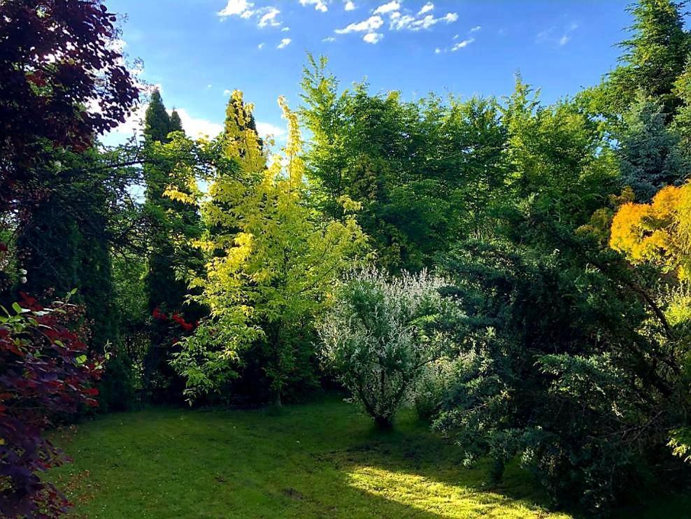Secret Garden Residence Пашкувка Экстерьер фото